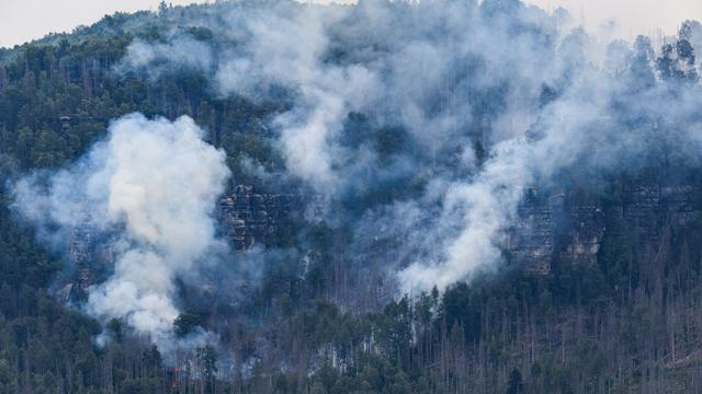 Rauch steigt auf über dem Nationalpark Sächsische Schweiz