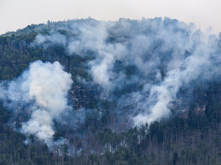 Rauch steigt auf über dem Nationalpark Sächsische Schweiz