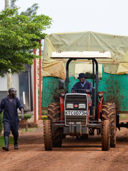 Ein Traktor zwischen Felder in Thika bei Nariobi in Kenia.