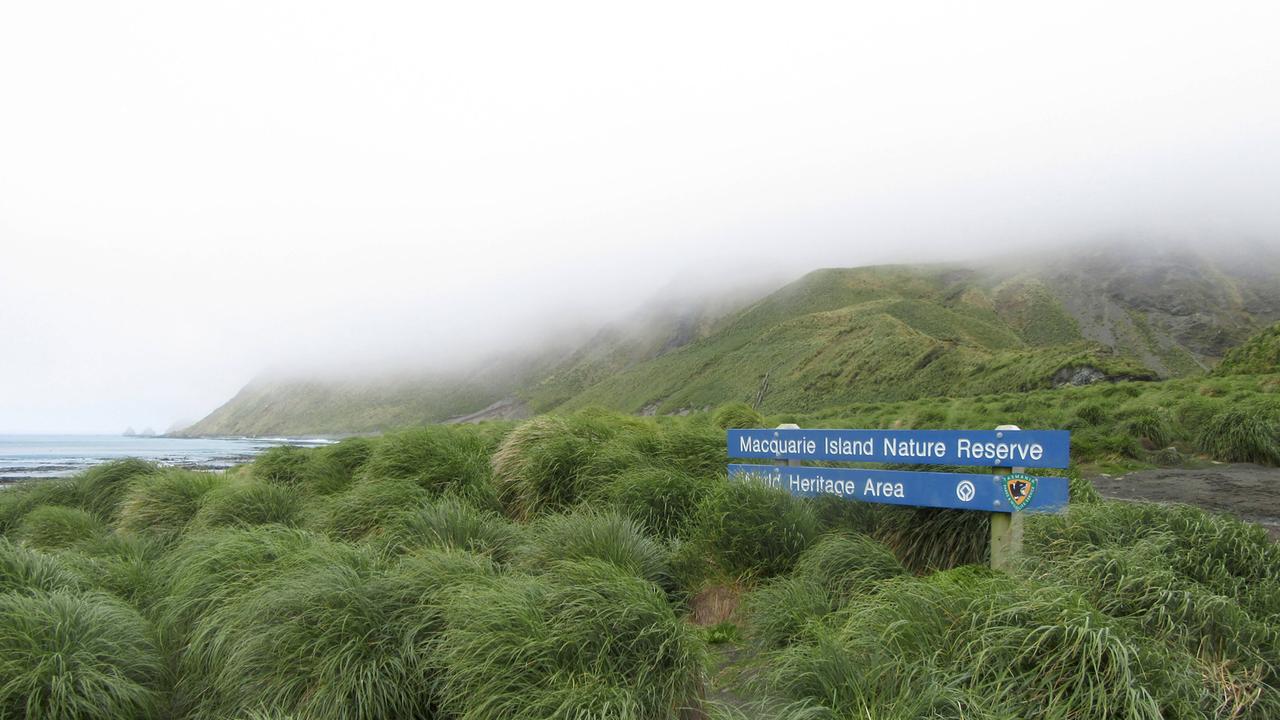 Willkommensschild am Strand der australischen Macquarieinsel zwischen grünen Horstgräsern. Im Hintergrund sind Berge im Nebel und das Meer zu sehen.