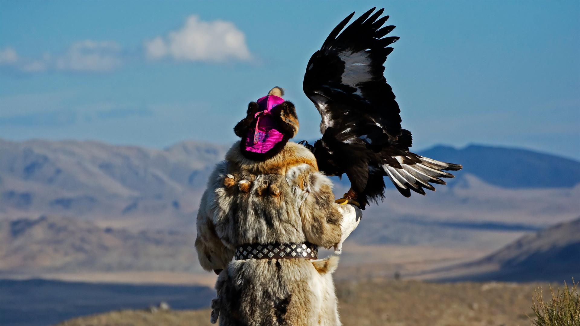 Ein Mensch mit Pelzmantel und traditioneller bunter Mütze in der Mongolei, einen Adler mit gespreizten Flügeln auf dem Arm sitzend. Ein Mensch mit Pelzmantel und traditioneller bunter Mütze in der Mongolei, einen Adler mit gespreizten Flügeln auf dem Arm sitzend.
