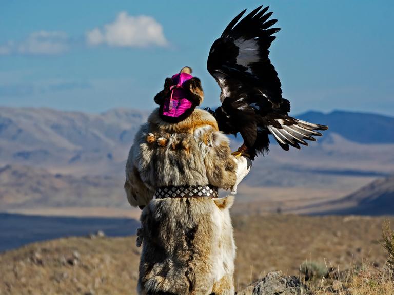 Ein Mensch mit Pelzmantel und traditioneller bunter Mütze in der Mongolei, einen Adler mit gespreizten Flügeln auf dem Arm sitzend.