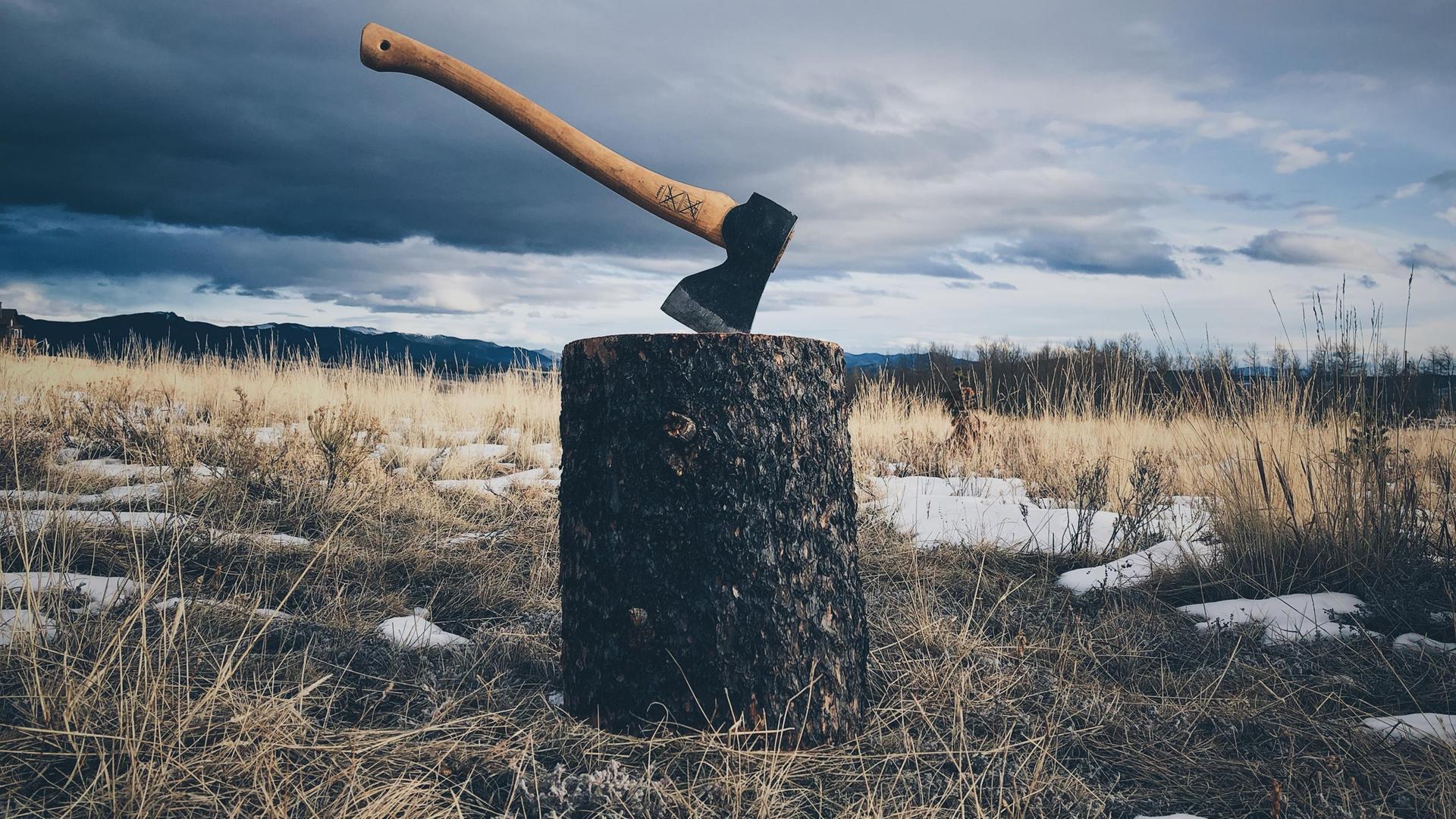 Auf einer kargen Wiese steht ein Holzbock, in dem eine Axt steckt Auf einer kargen Wiese steht ein Holzbock, in dem eine Axt steckt