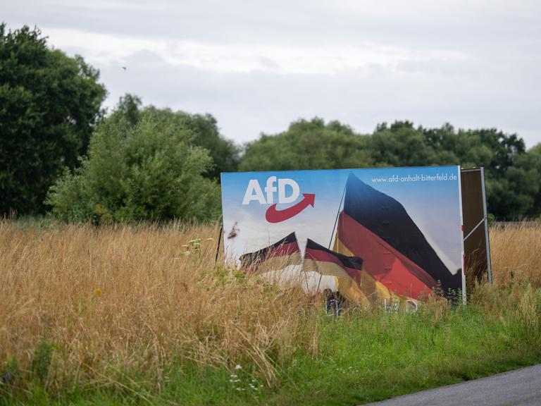 Ein Wahlplakat der AfD steht in einer Wiese bei Bitterfeld. Auf dem großen Plakat sind Deutschlandfahnen abgebildet.