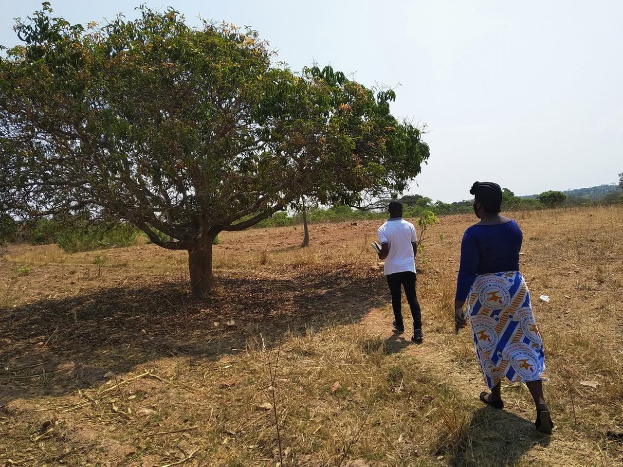 Priscar Mailosi läuft auf einem schmalen Sandweg hinter einem Mann durch eine Savannen-Landschaft. Vorbei an einem Baum. Priscar Mailosi läuft auf einem schmalen Sandweg hinter einem Mann durch eine Savannen-Landschaft. Vorbei an einem Baum.