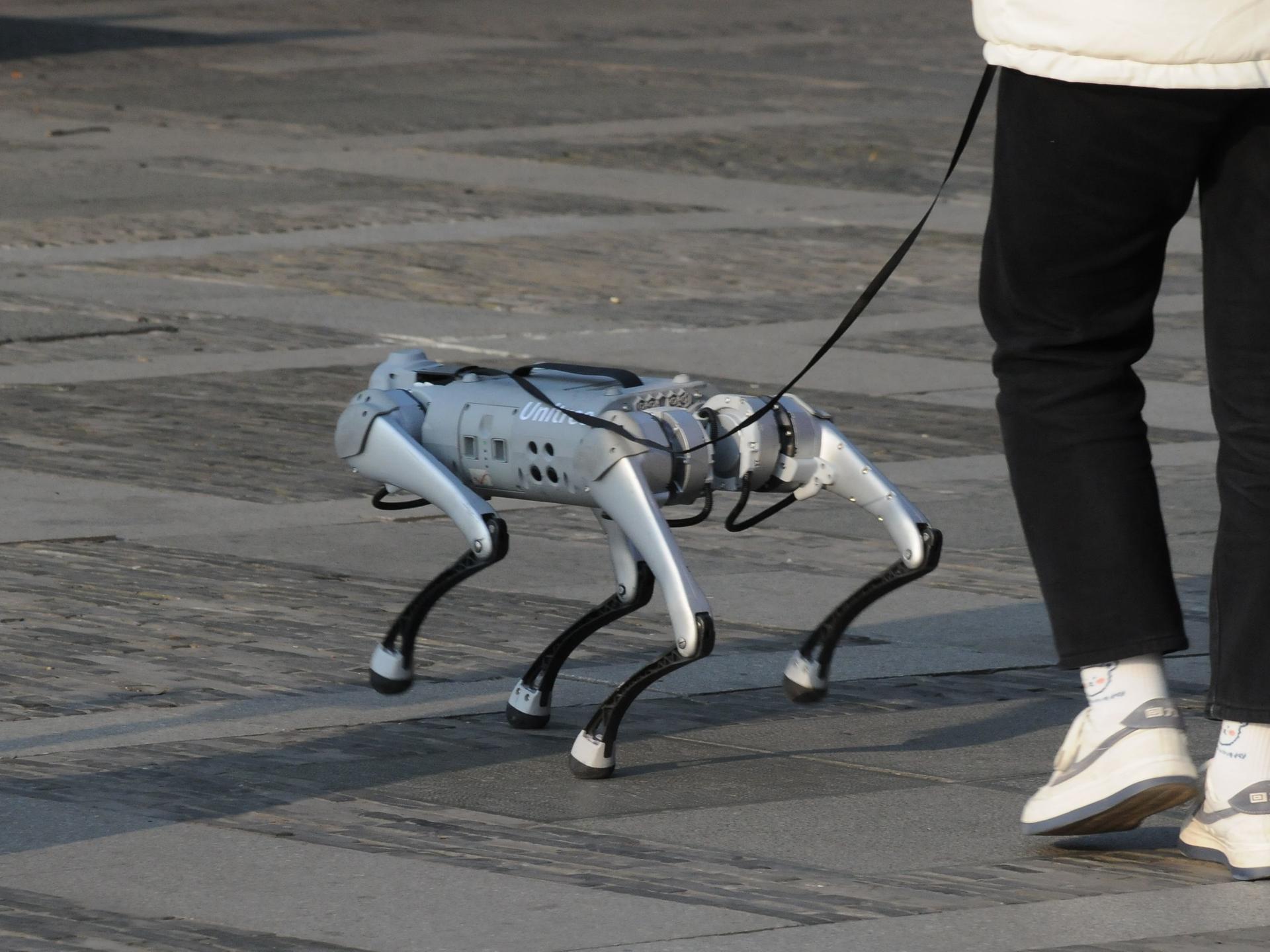 Eine Frau geht in der chinesischen Stadt Hangzhou mit einem Roboter-Hund spazieren. spazieren. 