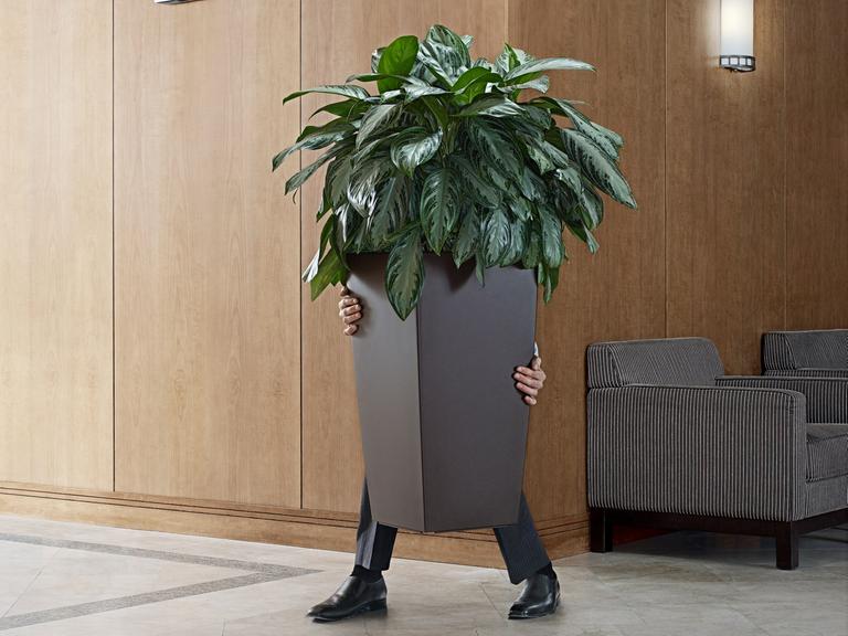 Eine Person versteckt sich hinter einer Büropflanze und versucht so an einem Exit-Schild vorbei Richtung Ausgang zu gehen.