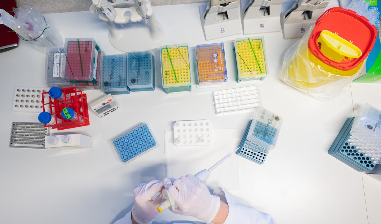 Zwei behandschuhte Hände halten ein Gerät zur Sequenzierung von positiven PCR-Tests im Labor. Vor ihr auf dem Tisch stehen viele Proben (gestellte Szene). Zwei behandschuhte Hände halten ein Gerät zur Sequenzierung von positiven PCR-Tests im Labor. Vor ihr auf dem Tisch stehen viele Proben (gestellte Szene).