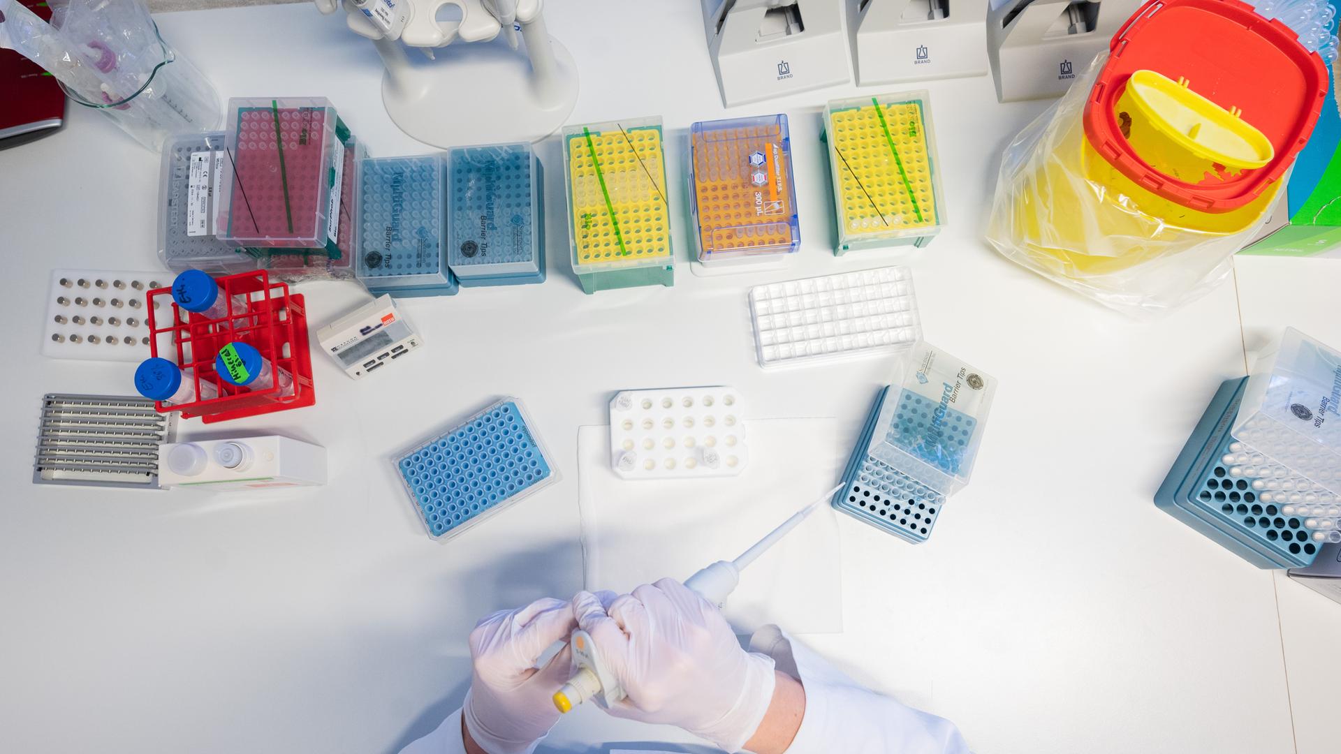 Zwei behandschuhte Hände halten ein Gerät zur Sequenzierung von positiven PCR-Tests im Labor. Vor ihr auf dem Tisch stehen viele Proben (gestellte Szene).