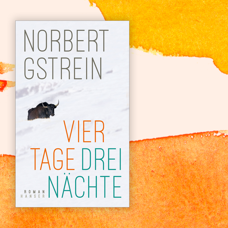 Norbert Gstrein: „Vier Tage, drei Nächte“ – Zurechtgelogene Wahrheiten