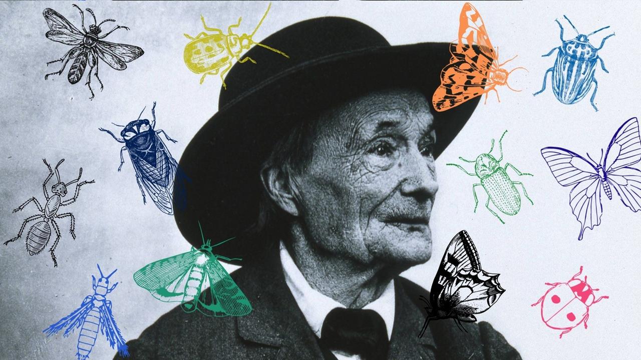 Collage vom Portrait Jean-Henri Fabre mit Insekten. Collage vom Portrait Jean-Henri Fabre mit Insekten.