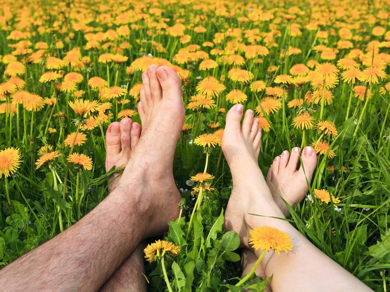 Nackte Füße eines Paares, das zusammen in einer Löwenzahnwiese liegt