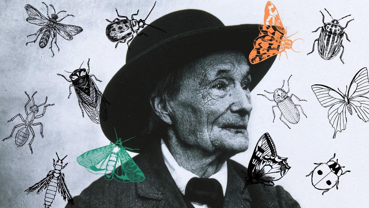Collage vom Portrait Jean-Henri Fabre mit Insekten. Collage vom Portrait Jean-Henri Fabre mit Insekten.