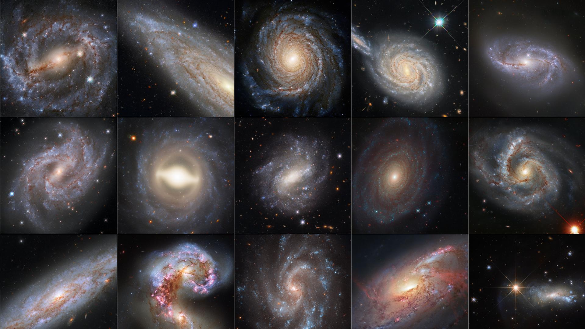 Schöner leben im Multiversum - Der Scherz von den unendlich vielen Universen