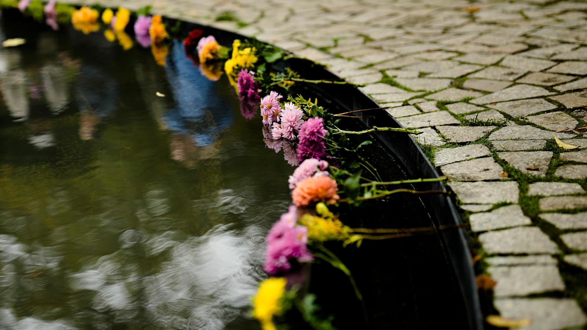 Blumen am Mahnmal für die ermordeten Sinti und Roma während des Holocaust 