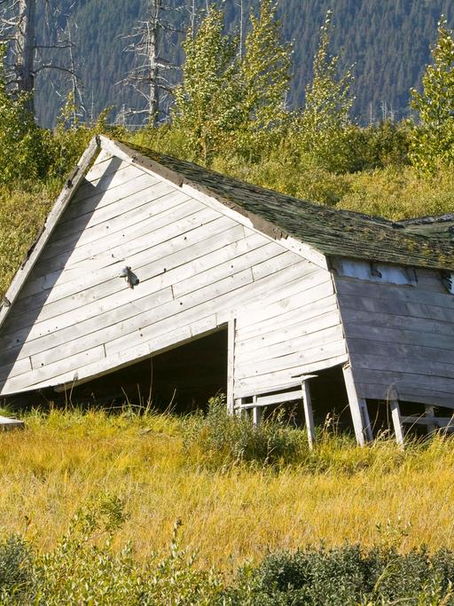 Eine Holzhütte in Alaska ist auf dem aufgetauten Boden in sich zusammengefallen und nicht mehr bewohnbar. 
