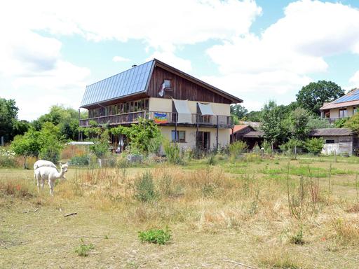 Das Ökodorf Sieben Linden mit zwei Alpakas. 