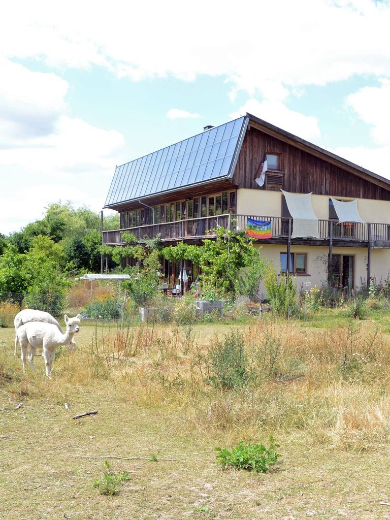 Das Ökodorf Sieben Linden mit zwei Alpakas. 
