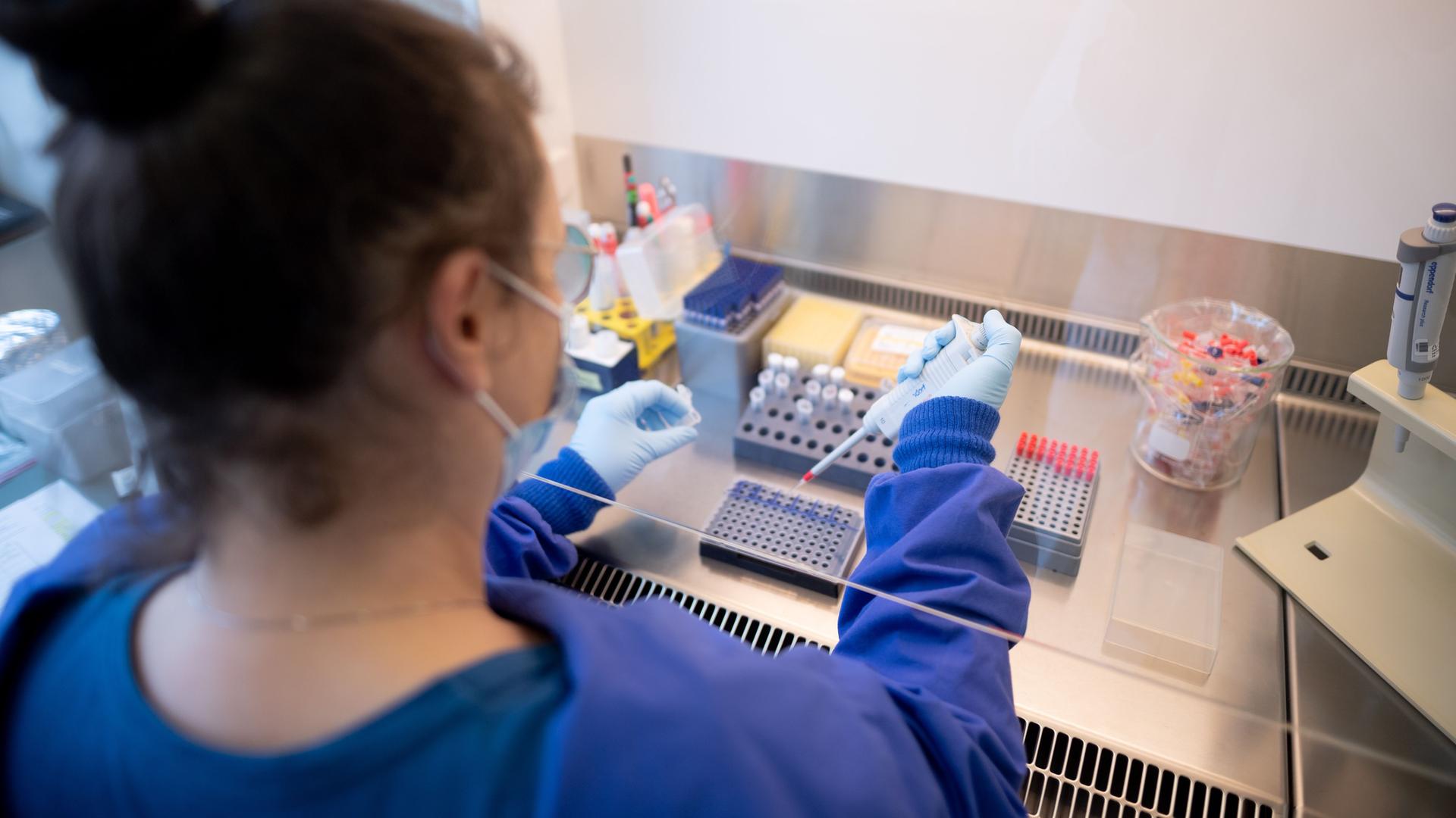 Eine Frau arbeitet an einer Sicherheitswerkbank in einem Labor im Institut für Hygiene und Gesundheit, dabei mischt sie isolierte RNA aus Abwasserproben mit PCR-Reagentien für die spezifische Detektion von SARS-CoV-2