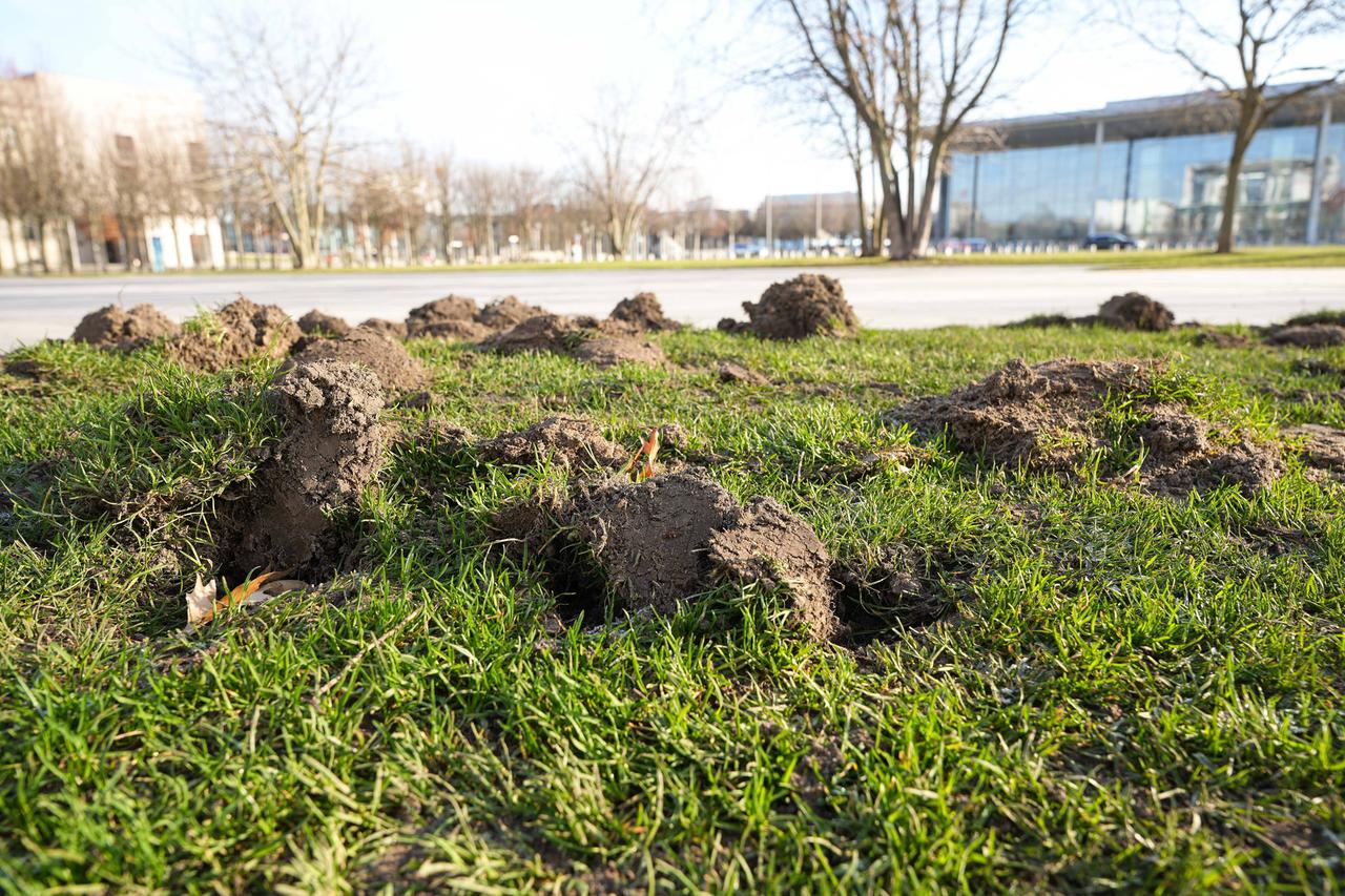 Ein Stück Wiese vor dem Bundeskanzleramt ist an einigen Stellen aufgewühlt. Ein Stück Wiese vor dem Bundeskanzleramt ist an einigen Stellen aufgewühlt.