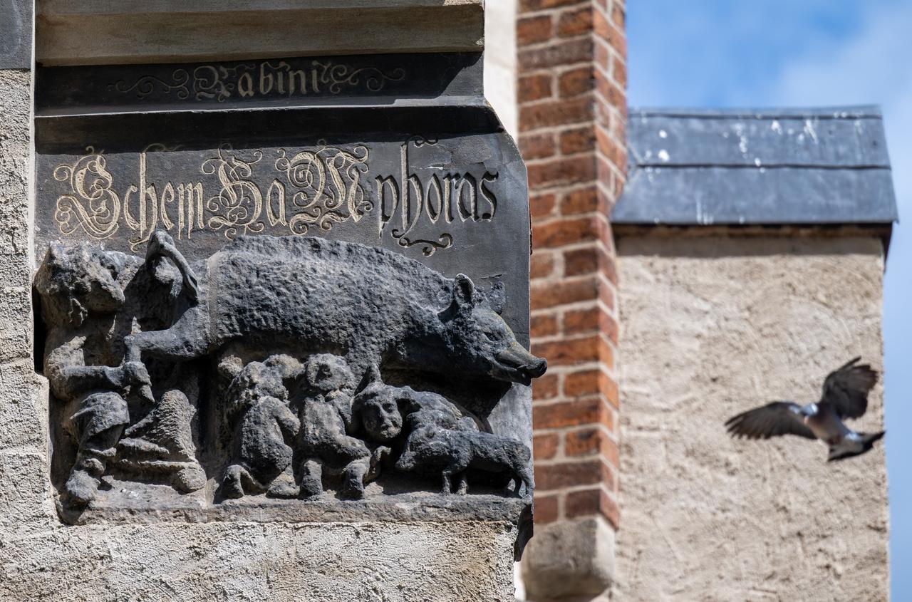 Eine als "Judensau" bezeichnete Schmähplastik ist an der Wittenberger Stadtkirche zu sehen. Eine als "Judensau" bezeichnete Schmähplastik ist an der Wittenberger Stadtkirche zu sehen.