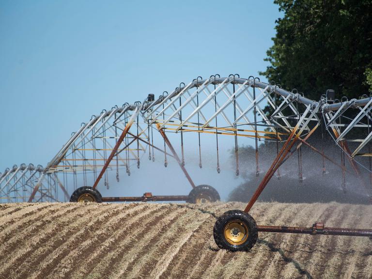 Eine mobile Beregnungsanlage bewässert ein Feld bei Krakow am See in Mecklenburg-Vorpommern. 