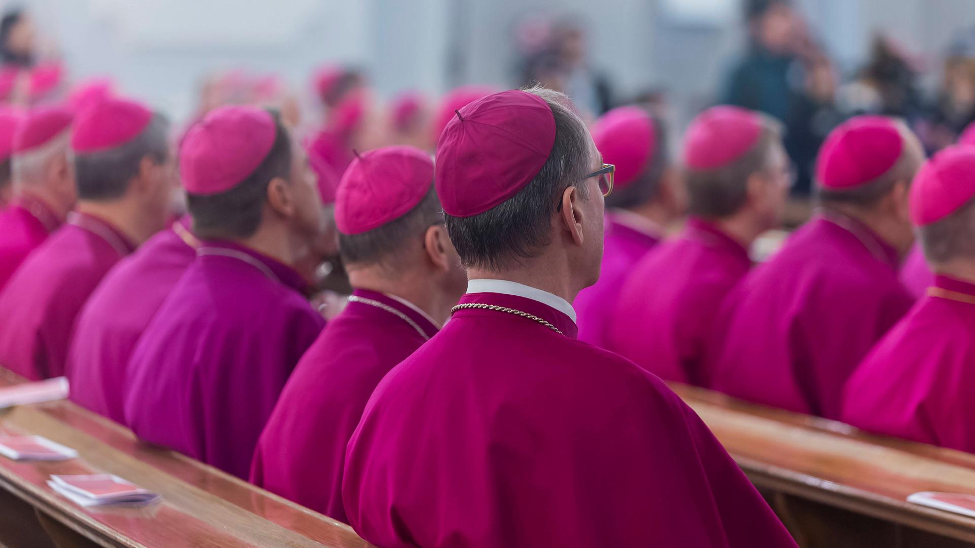 Bischöfe sitzen im Ornat in einer Kirchenbank. Sie sind von hinten fotografiert. Bischöfe sitzen im Ornat in einer Kirchenbank. Sie sind von hinten fotografiert.