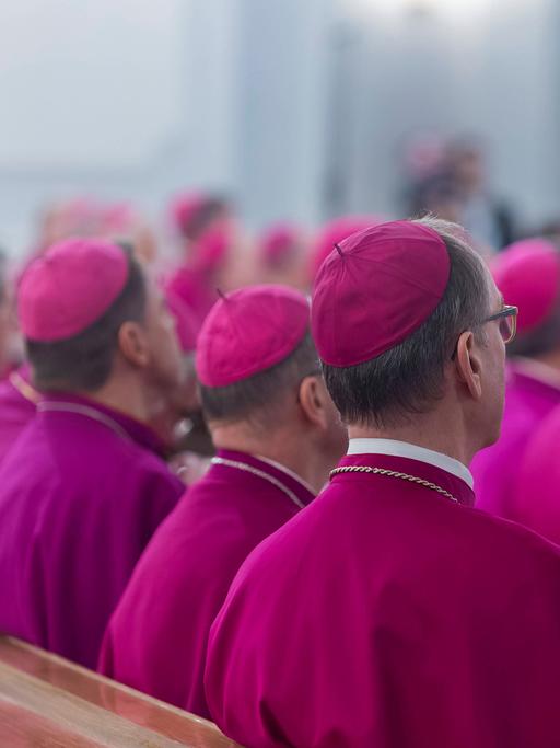 Bischöfe sitzen im Ornat in einer Kirchenbank. Sie sind von hinten fotografiert.