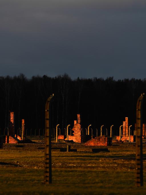 Blick auf das Lagergelände des ehemaligen deutschen nationalsozialistischen Konzentrationslages Auschwitz II-Birkenau in Brzezinka bei Oswiecim, Polen, am 3. Januar 2022. Zu sehen sind die Reste der zerstörten Baracken hinter Stacheldrahtumzeunung im Abendlicht.