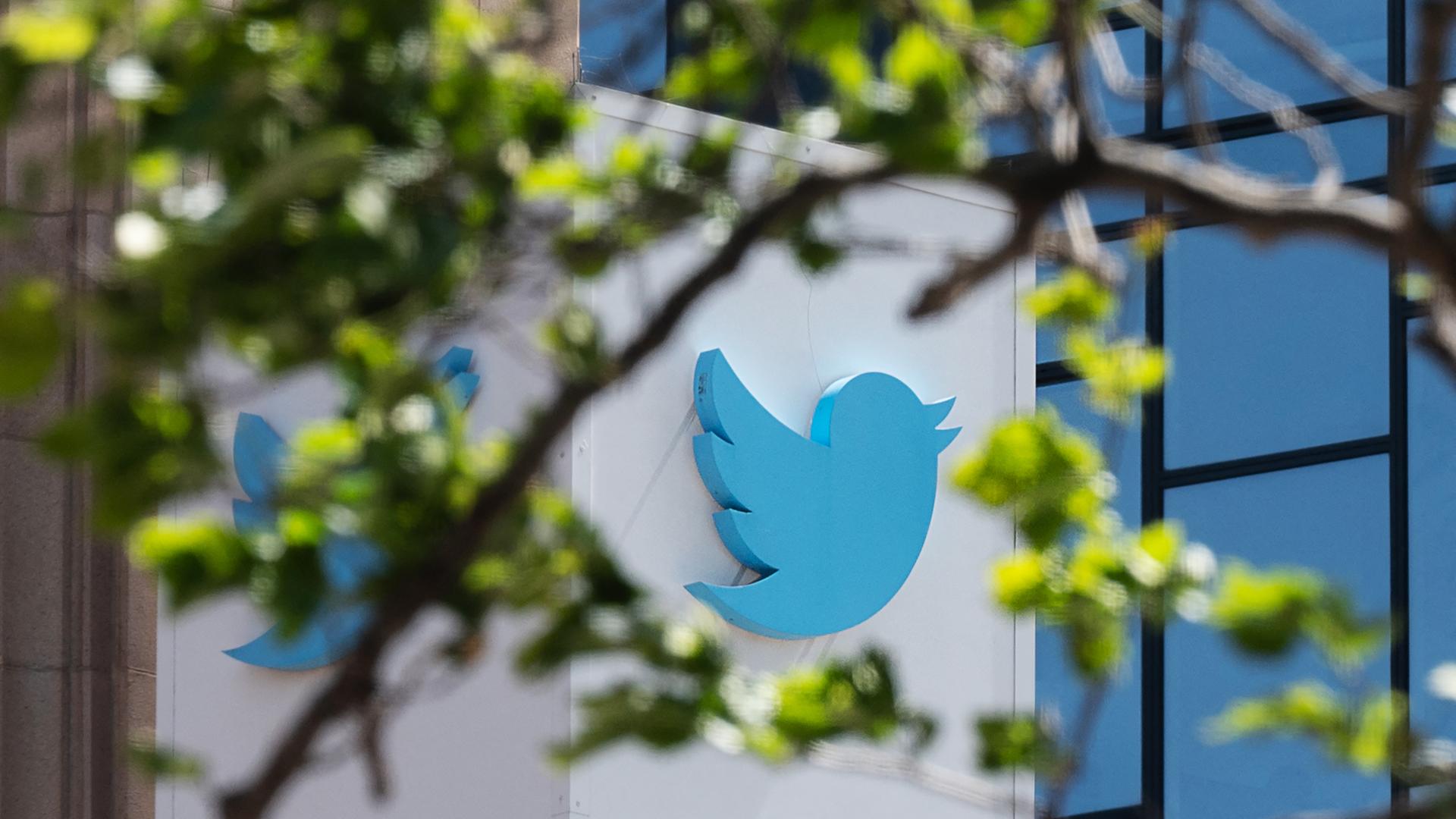 Der Twitter-Spatze ist, zwischen den unscharfen Baumkronen an beiden Bildrändern, an einer Bürohausfassade zu sehen. Der Twitter-Spatze ist, zwischen den unscharfen Baumkronen an beiden Bildrändern, an einer Bürohausfassade zu sehen.