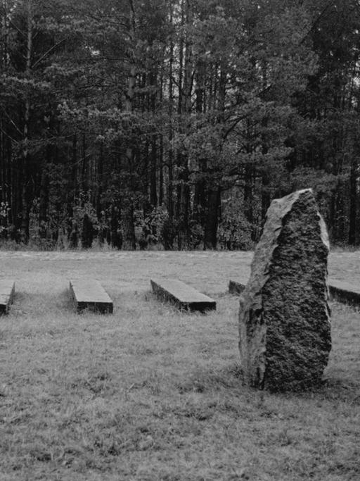 Schwarzweiß-Aufnahme einer Wiese mit Gedenkstein und Balken im Gras, die in ihrer Anordnung an Bahngleise erinnern