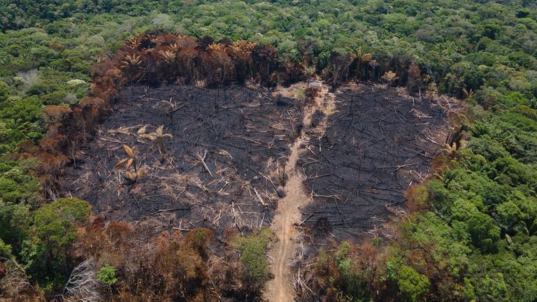 Pemandangan udara dari area yang terbakar di hutan Amazon dekat jalan raya BR-319.