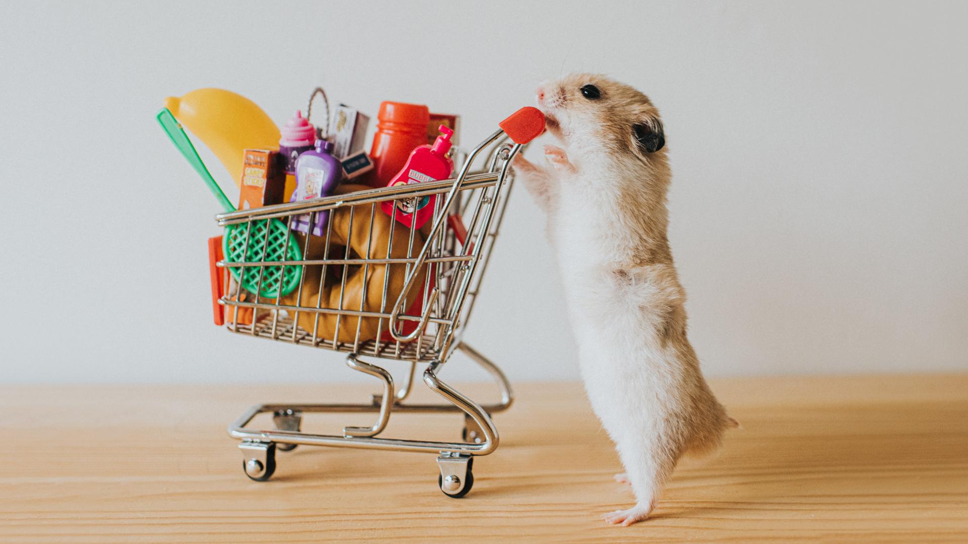 Ein humoriges Symbolbild zeigt einen niedlichen Hamster mit einem vollen Einkaufswagen als Miniaturmodell. Ein humoriges Symbolbild zeigt einen niedlichen Hamster mit einem vollen Einkaufswagen als Miniaturmodell.