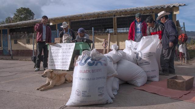 Guamaltekische Bauern stehen rund um weiße Plastiksäcke mit nach der Hurrikan-Katastrophe gespendeten Bohnen und Mais