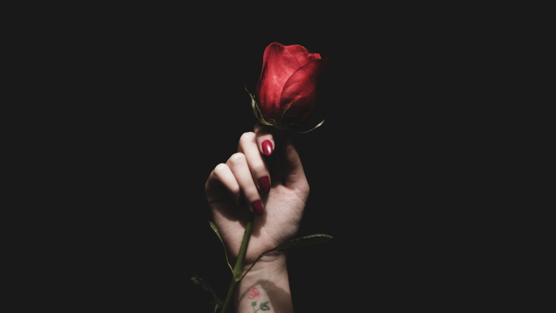 Eine junge Frauenhand hält vor dunklem Hintergrund eine rote Rose in die Höhe.