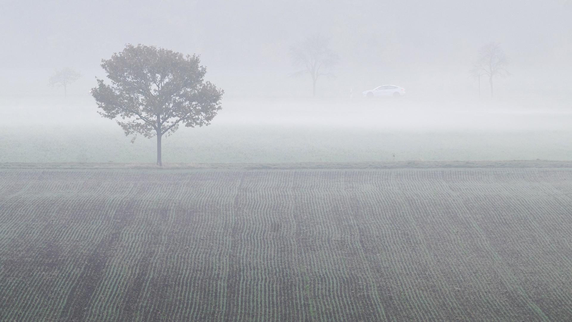 Landschaft im Nebel Landschaft im Nebel