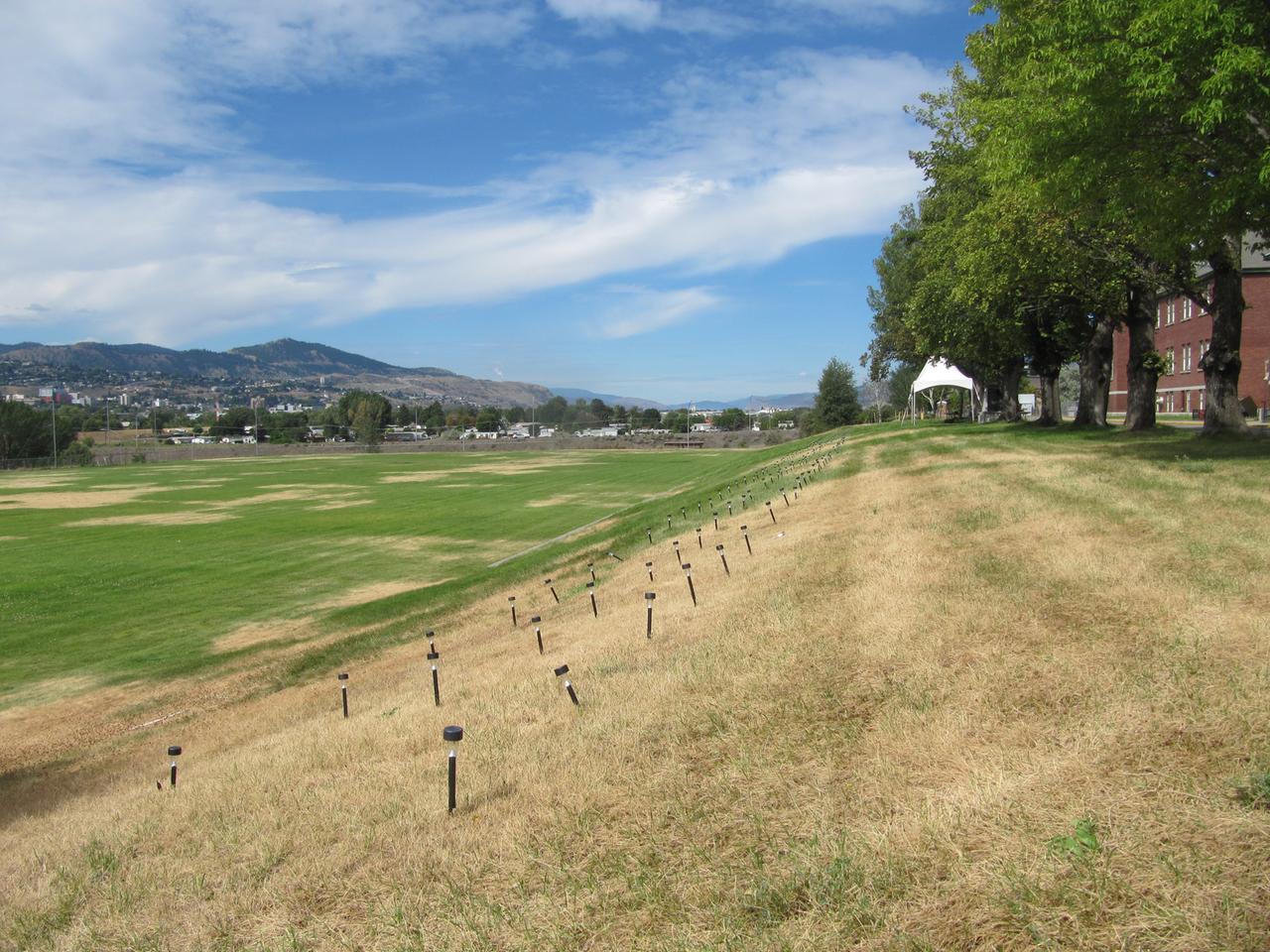 Auf einer Wiese an der Kamloops Residential School stecken Dutzende Grableuchten in der Erde. 