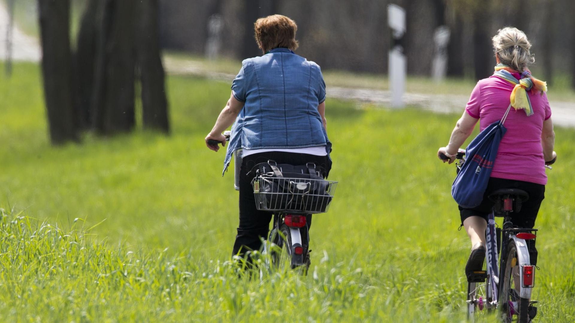 Radfahrende sind auf einem Radweg zwischen Neustadt-Glewe und Ludwigslust (Mecklenburg-Vorpommern) unterwegs Radfahrende sind auf einem Radweg zwischen Neustadt-Glewe und Ludwigslust (Mecklenburg-Vorpommern) unterwegs