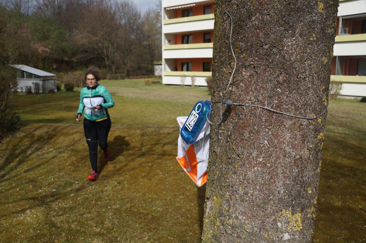 Orientierungsläuferin an einem Kontrollposten Orientierungsläuferin an einem Kontrollposten