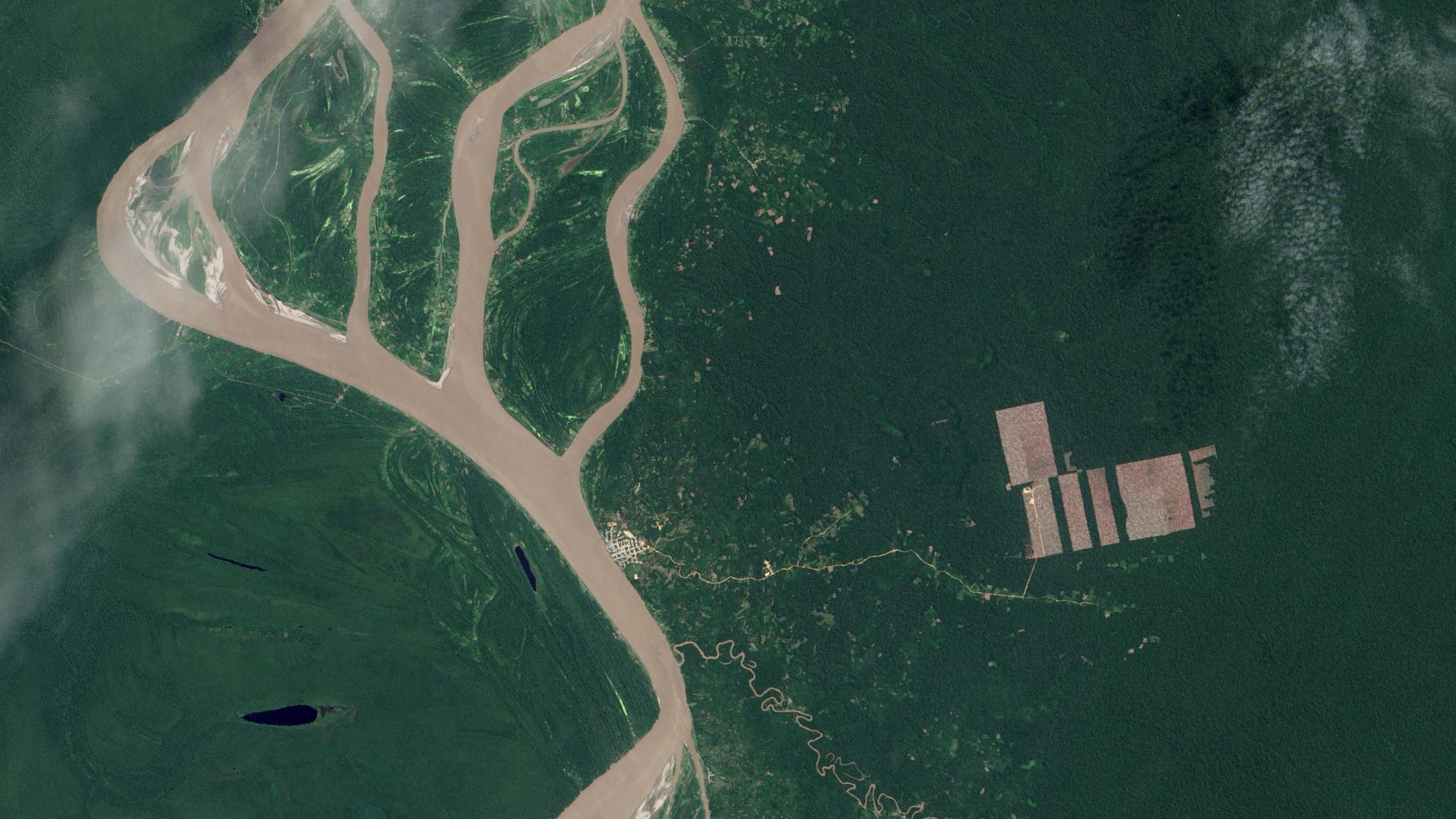 Rodung von Regenwald nahe dem Amazonas in Peru aus Sicht des US-Satelliten Landsat 8 Rodung von Regenwald nahe dem Amazonas in Peru aus Sicht des US-Satelliten Landsat 8