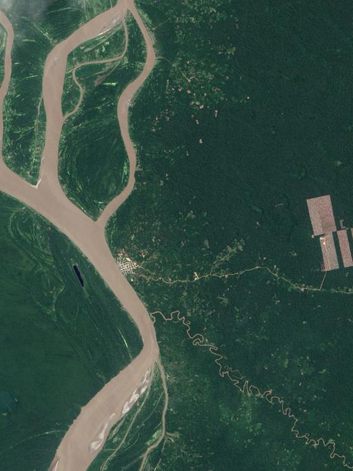 Rodung von Regenwald nahe dem Amazonas in Peru aus Sicht des US-Satelliten Landsat 8