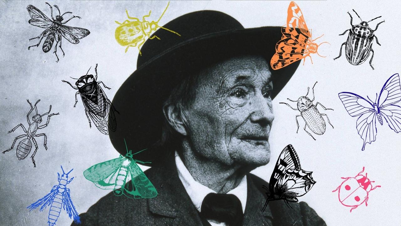Collage vom Portrait Jean-Henri Fabre mit Insekten. Collage vom Portrait Jean-Henri Fabre mit Insekten.