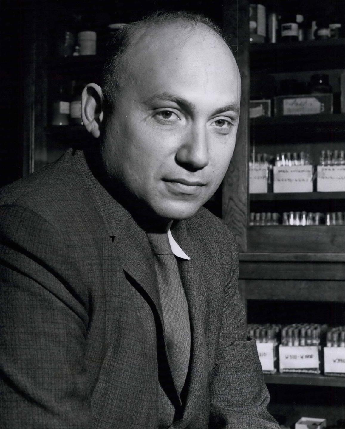 Porträt von Joshua Lederberg, ca. 1956. Porträt von Joshua Lederberg, ca. 1956.