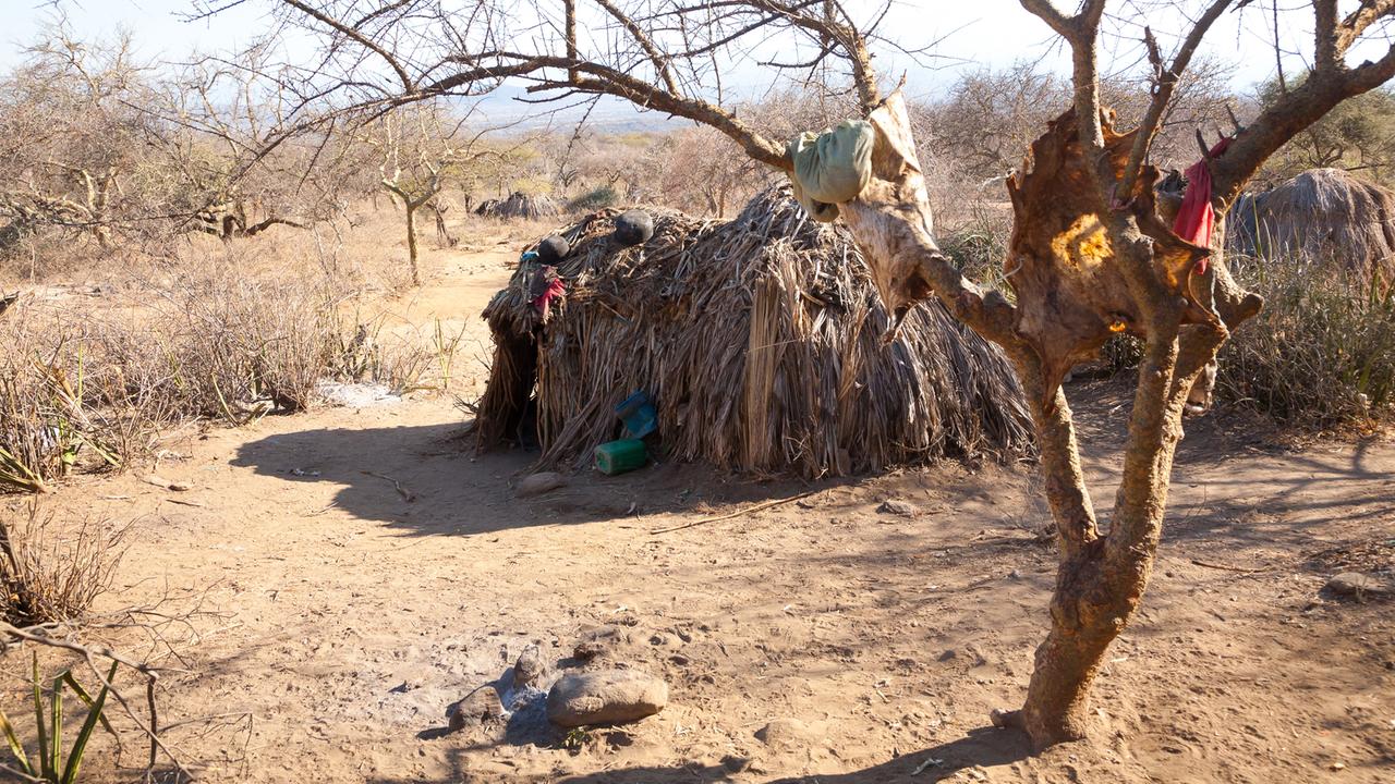 Eine Hütte der indigenen Hazda in Tansania, an einem Baum davor ein aufgespanntes Fell