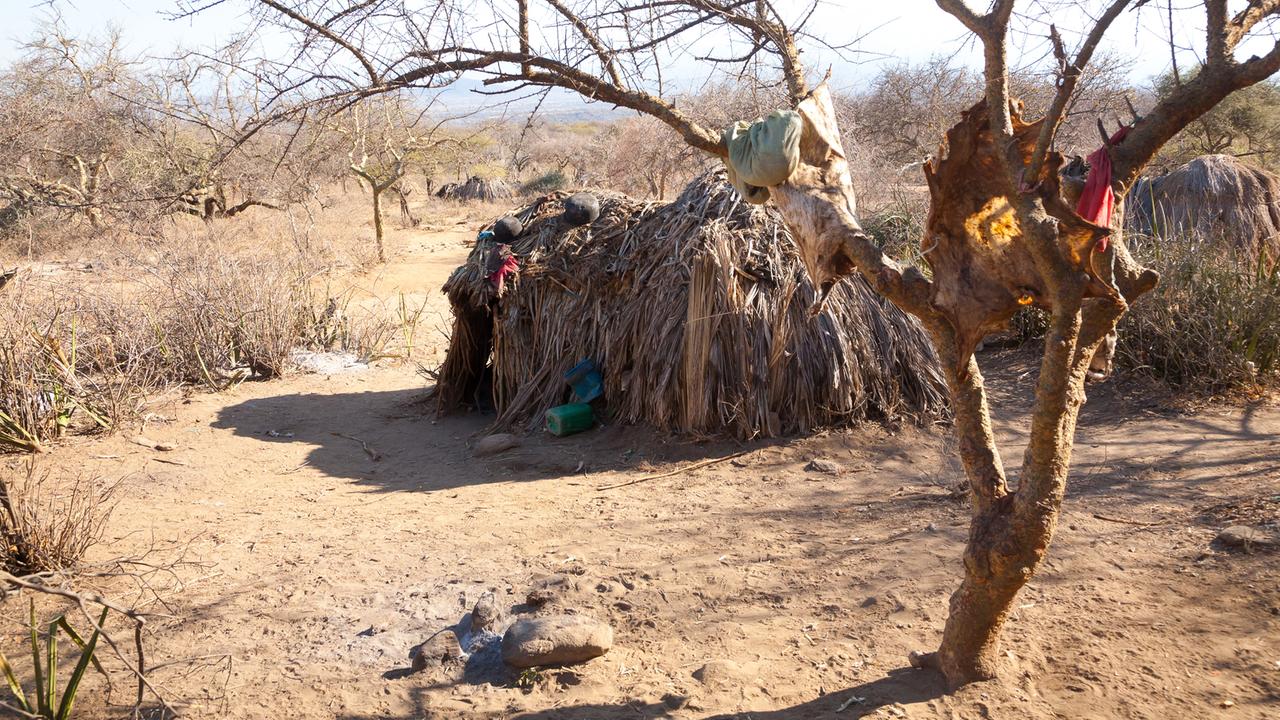Eine Hütte der indigenen Hazda in Tansania, an einem Baum davor ein aufgespanntes Fell Eine Hütte der indigenen Hazda in Tansania, an einem Baum davor ein aufgespanntes Fell