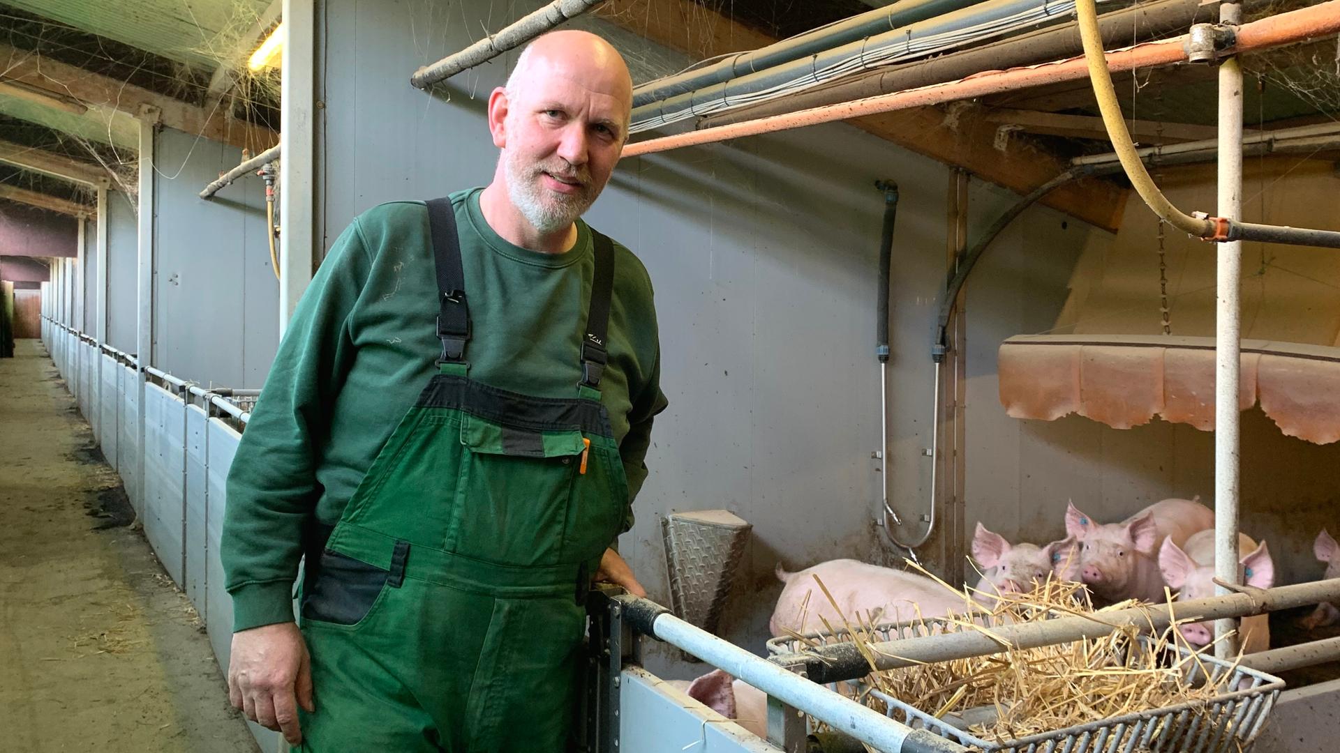 Im Stall steht Landwirt Enno Gabade in grüner Arbeitskleidung, im Hintergrund sind Schweine zu sehen. Im Stall steht Landwirt Enno Gabade in grüner Arbeitskleidung, im Hintergrund sind Schweine zu sehen.