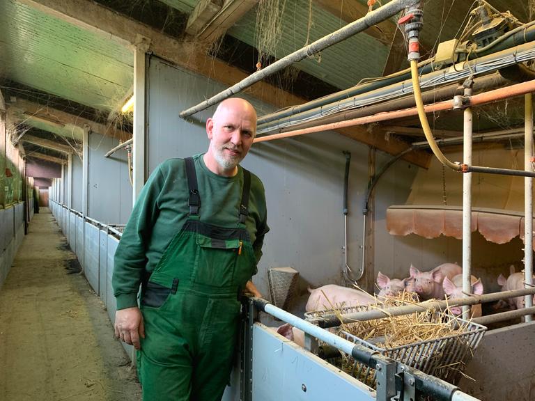 Im Stall steht Landwirt Enno Gabade in grüner Arbeitskleidung, im Hintergrund sind Schweine zu sehen.