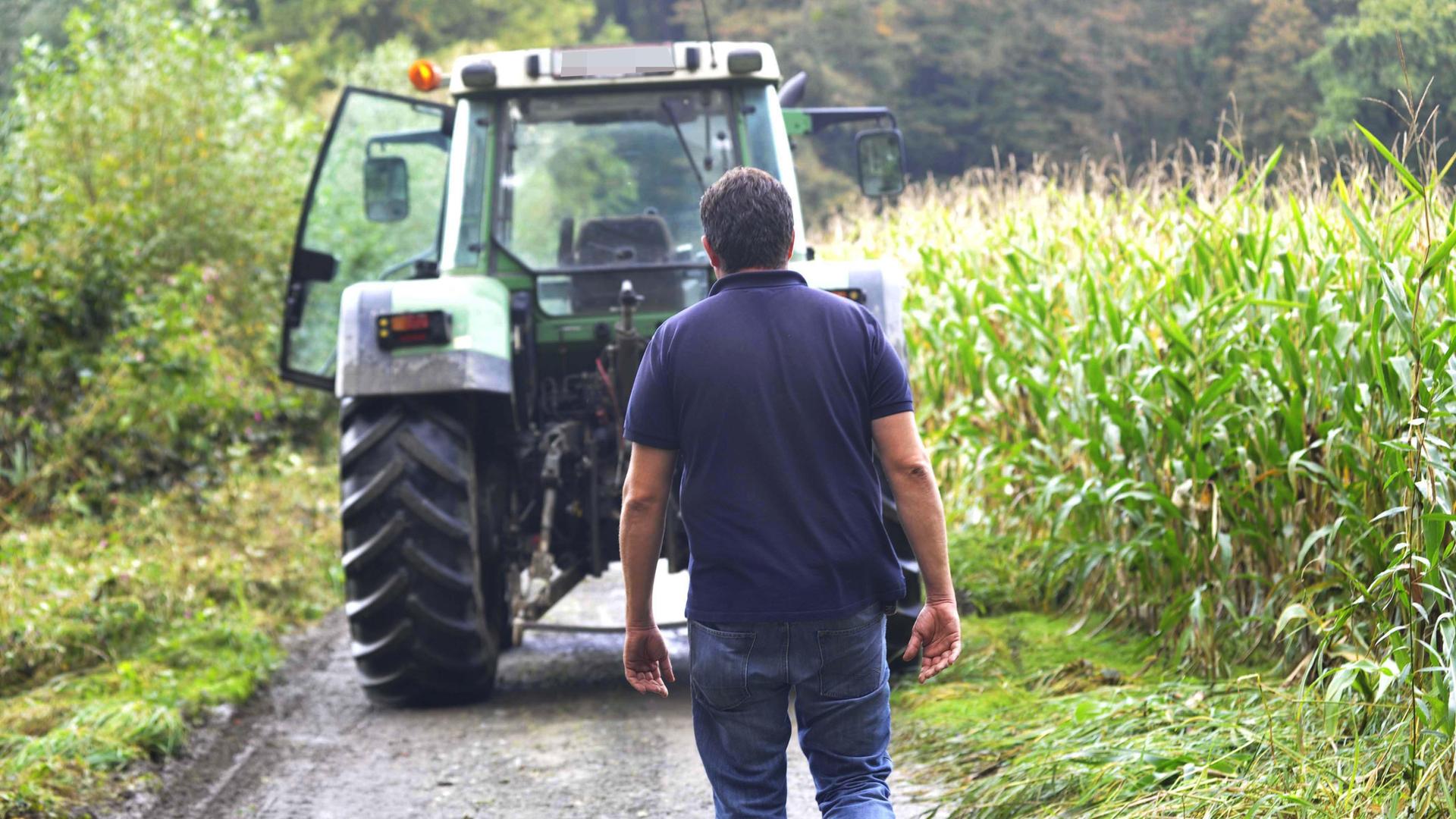 Mann vor einem Traktor in einem Maisfeld Mann vor einem Traktor in einem Maisfeld