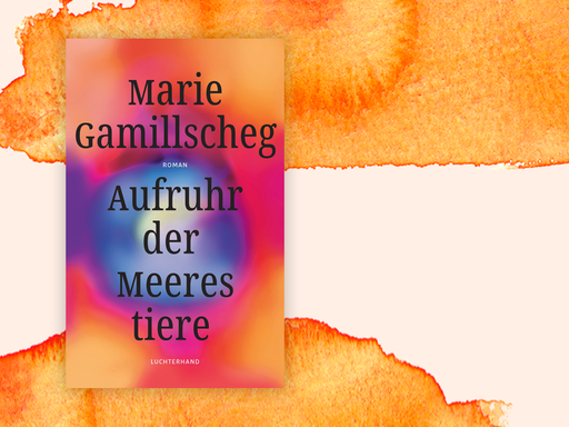 Auf dem Cover sind Autorinnenname und Buchtitel zu sehen, im Hintergrund rosa-orangene Farbverläufe.