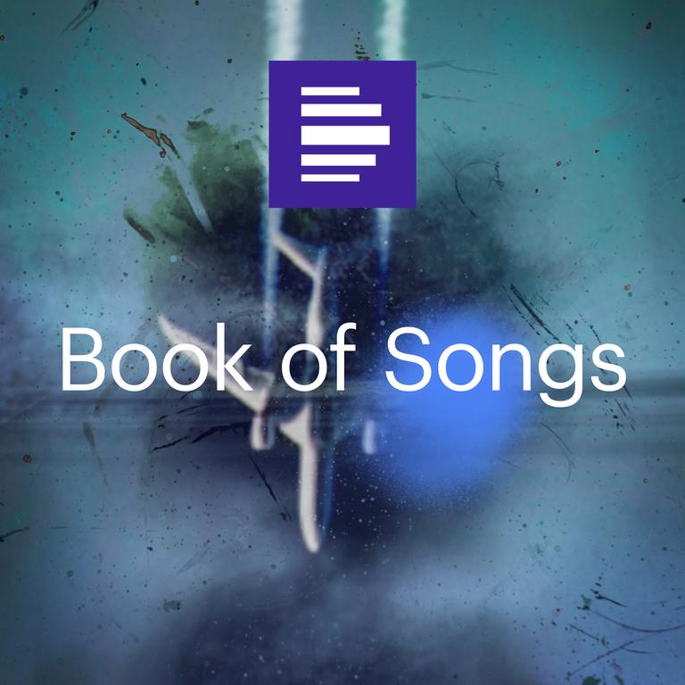 Das Podcast Cover Book of Songs zeigt ein verschwommenes Flugzeug auf blauem Hintergrund mit dem Senderlogo. Das Podcast Cover Book of Songs zeigt ein verschwommenes Flugzeug auf blauem Hintergrund mit dem Senderlogo.